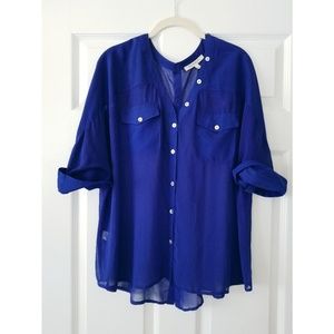 🌿 Francesca's | Sheer Blue Top